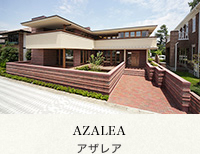 アザレア